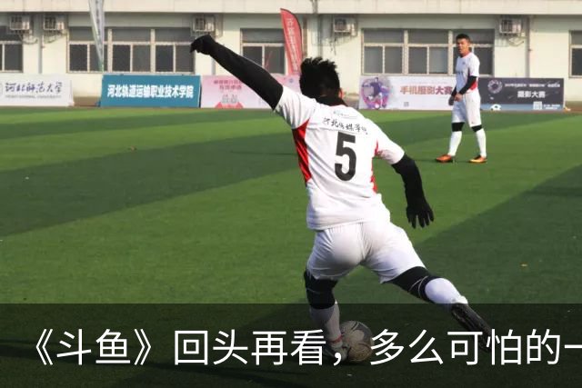 《斗鱼》回头再看，多么可怕的一部偶像剧！